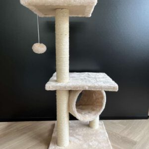 Krabpaal kitten Kiki vooraanzicht