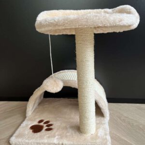 Krabpaal kitten Lucy vooraanzicht