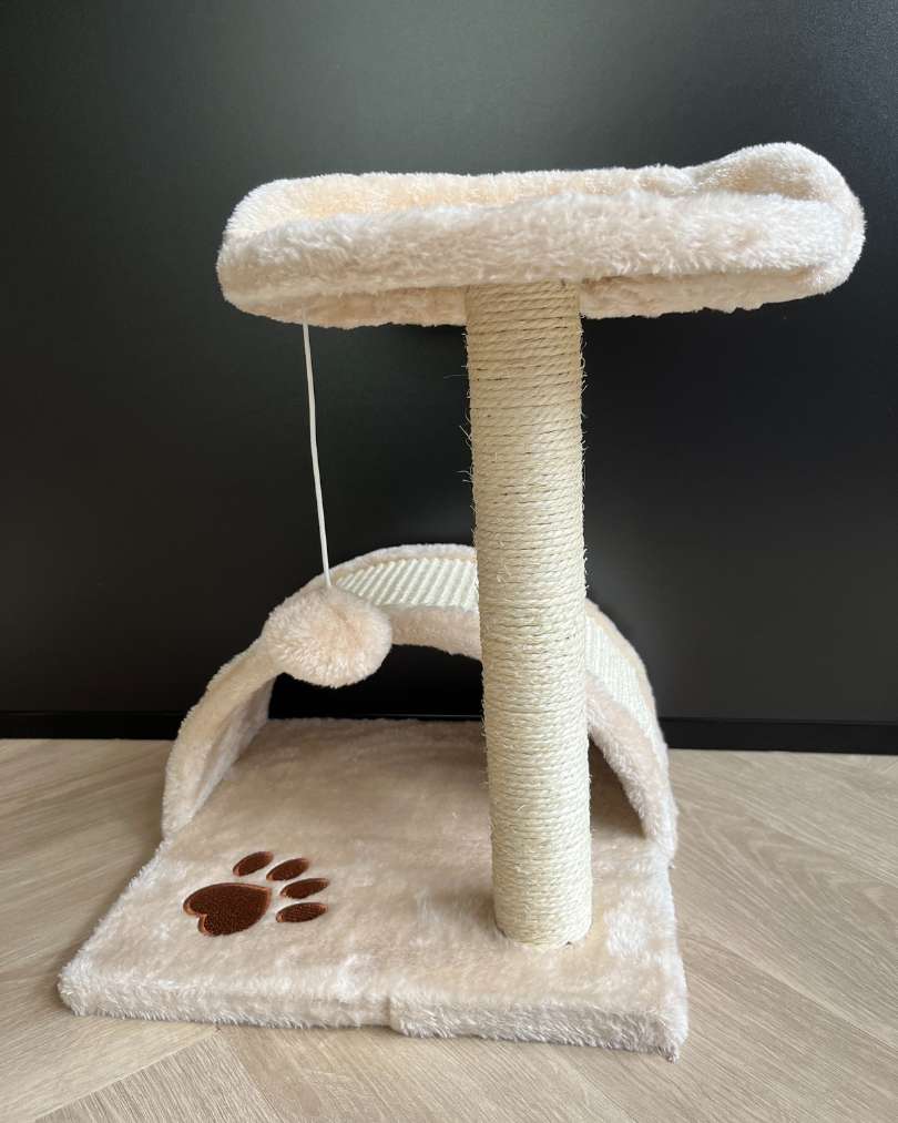 Krabpaal kitten Lucy vooraanzicht