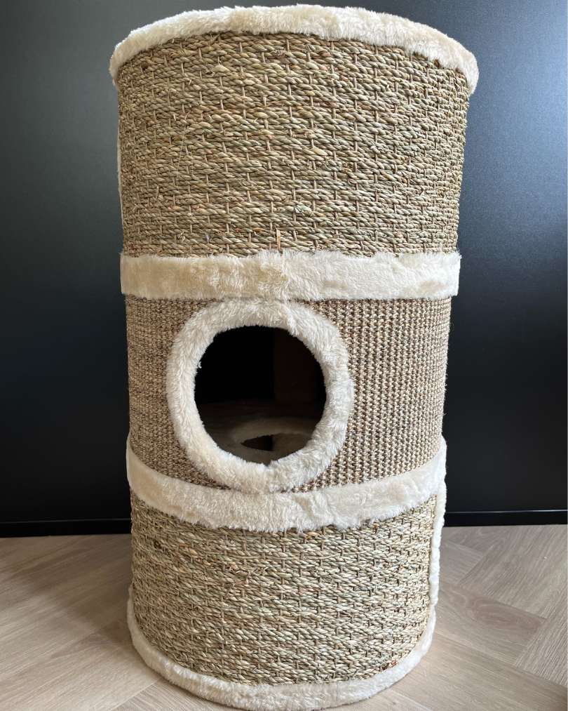 Krabtombe Moosje vooraanzicht